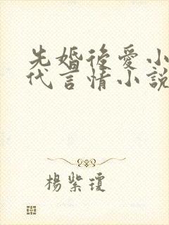 先婚后爱小说现代言情小说