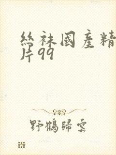 丝袜国产精品毛片99
