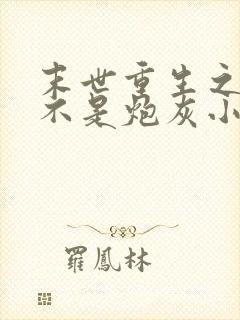 末世重生之我可不是炮灰小说封面