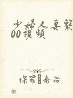 少妇人妻系列500视频