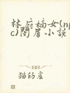 林府嫡女(npc)闺房小说