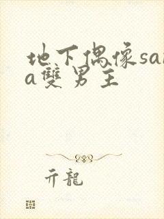 地下偶像sana双男主