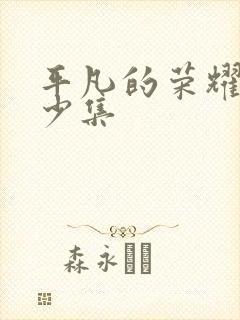 平凡的荣耀共多少集