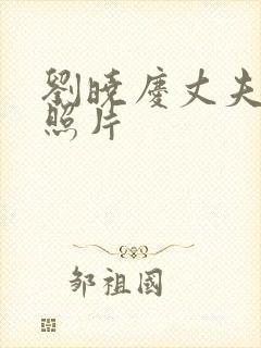 刘晓庆丈夫王立照片
