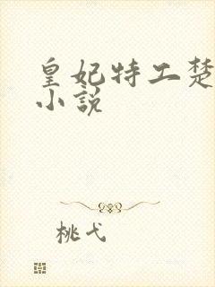 皇妃特工楚乔传小说