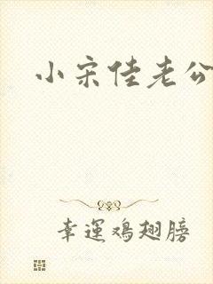 小宋佳老公王伟封面