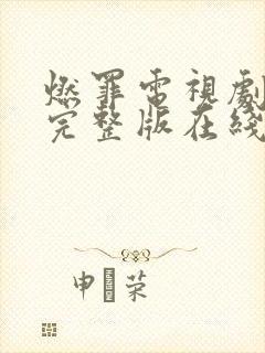 燃罪电视剧免费完整版在线播放