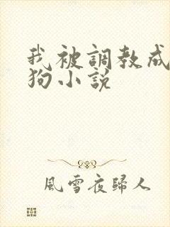 我被调教成小母狗小说