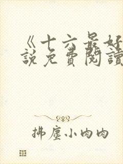 《十六最好》小说免费阅读