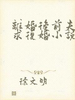 离婚后前夫哭着求复婚小说完本免费阅读