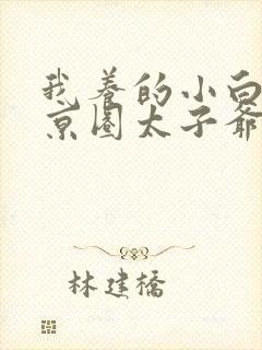 我养的小白脸是京圈太子爷短剧免费