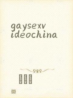 gaysexvideochina
