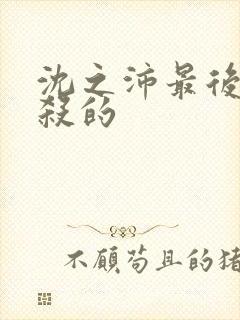 沈之沛最后被谁杀的