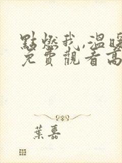点燃我,温暖你免费观看高清