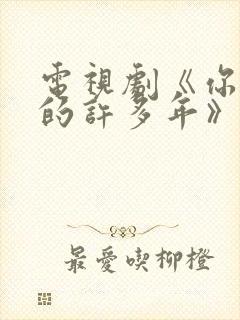 电视剧《你迟到的许多年》