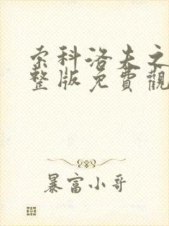 索科洛夫之战完整版免费观看
