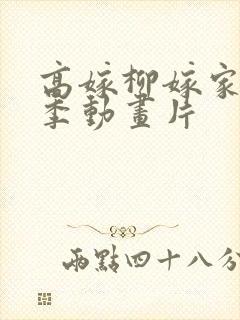 高嫁柳嫁家第二季动画片