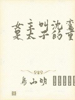 女主叫沈鸾男主是太子的重生小说