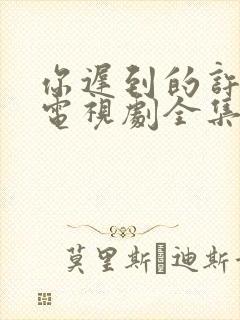 你迟到的许多年电视剧全集免费观看完整版