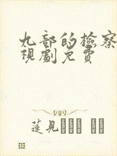 九部的检察官电视剧免费封面