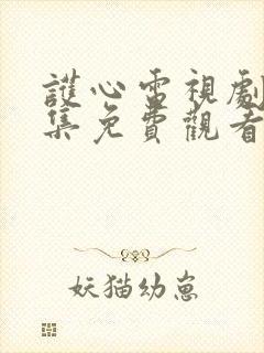 护心电视剧40集免费观看高清