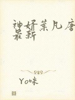神婿叶凡唐若雪最新