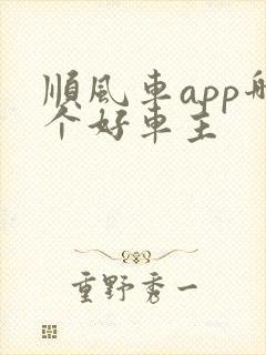 顺风车app哪个好车主