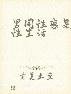男同性恋是怎么性生活