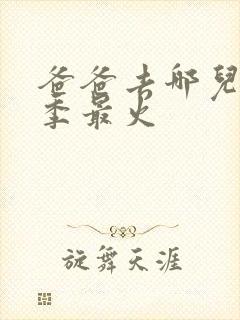 爸爸去哪儿第几季最火