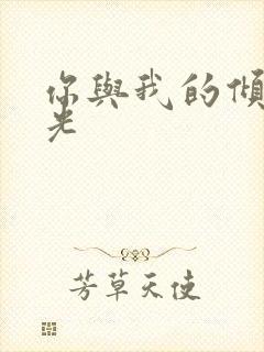 你与我的倾城时光