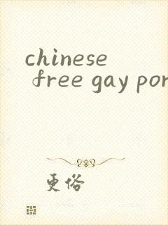 chinese free gay porn