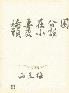 娇妻在公园被老头爽小说封面