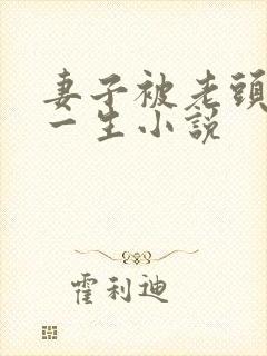 妻子被老头毁了一生小说