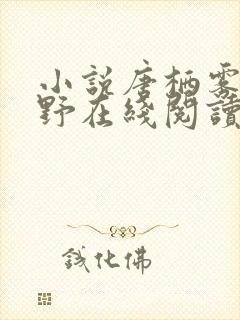 小说唐栖雾靳沉野在线阅读