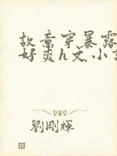 故意穿暴露被强好爽h文小说免费观看