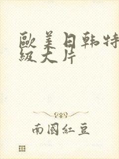 欧美日韩特黄一级大片