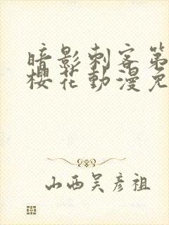 暗影刺客第4季樱花动漫免费观看