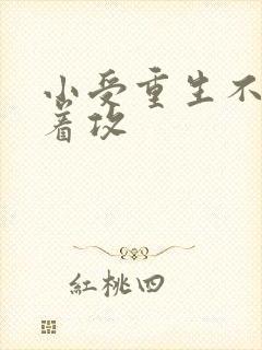 小受重生不再缠着攻封面