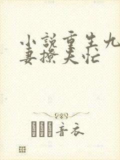 小说重生九零甜妻撩夫忙