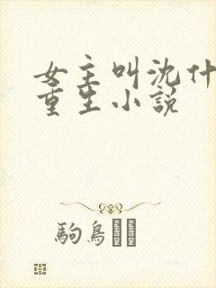 女主叫沈什么的重生小说
