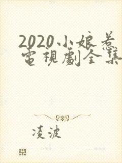 2020小娘惹电视剧全集剧情