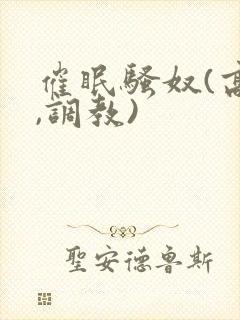 催眠骚奴(高h,调教)