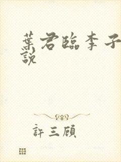 叶君临李子染小说封面