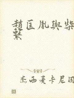 赵匡胤与柴家关系