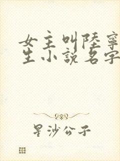 女主叫陆宁的重生小说名字