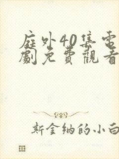 庭外40集电视剧免费观看完整版