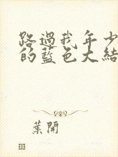 路过我年少时光的蓝色大结局