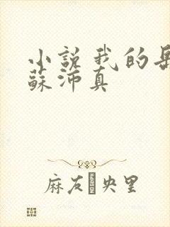 小说 我的岳母苏沛真