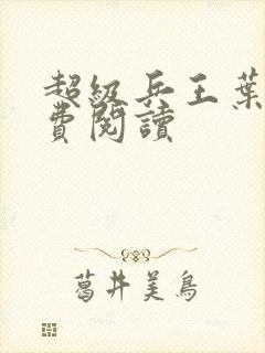 超级兵王叶谦免费阅读