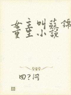 女主叫苏锦瑶的重生小说